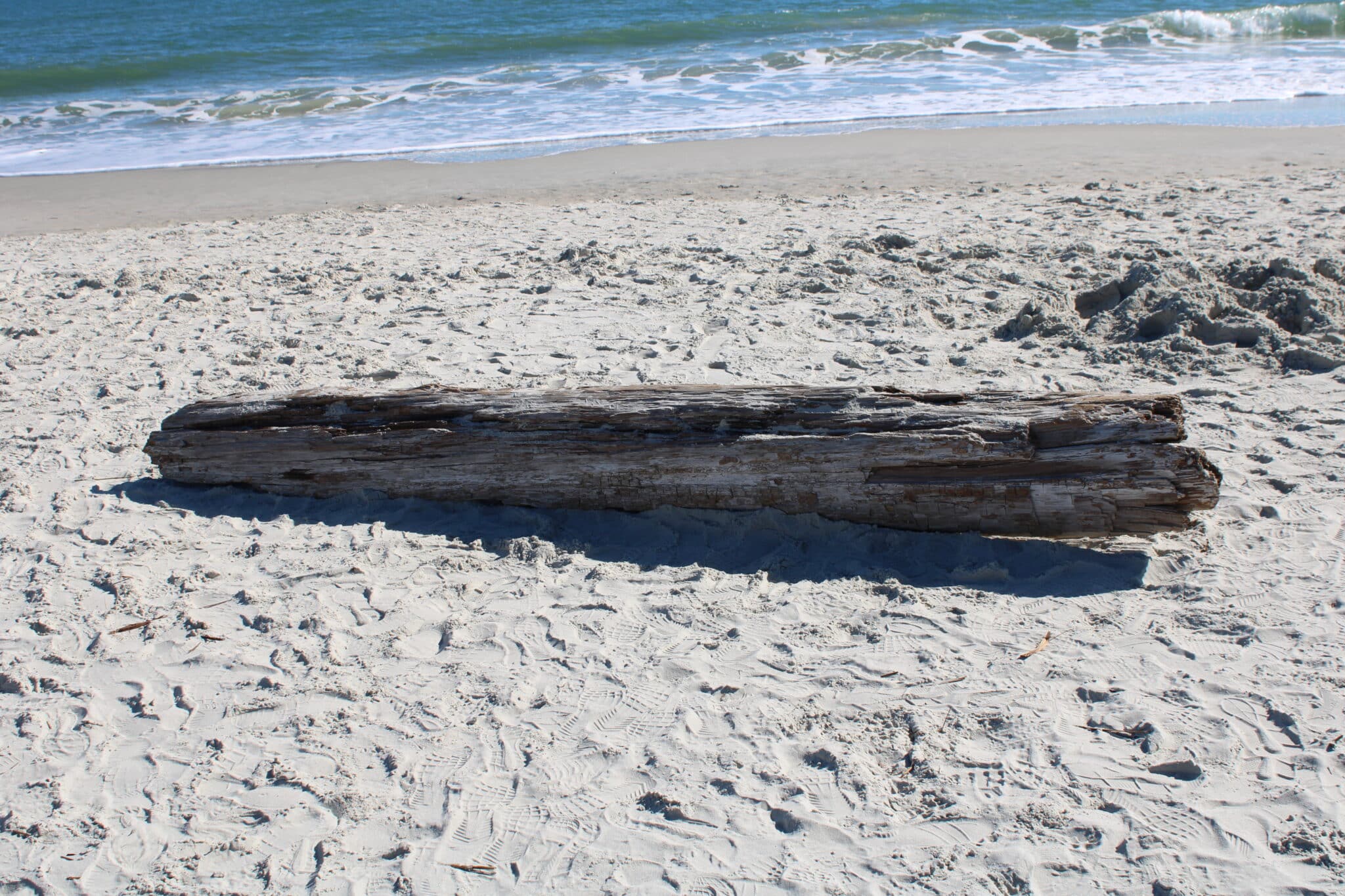 Huntington Beach State Park