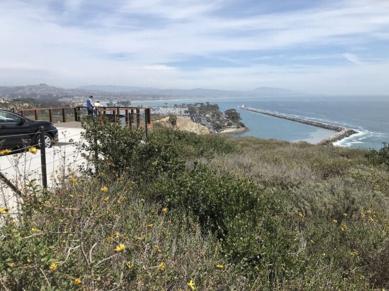 Scenic Coastal Road Trip